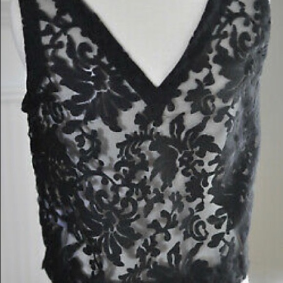 Banana Republic Sheer Lace Sleeveless Crop Top - Picture 3 of 8